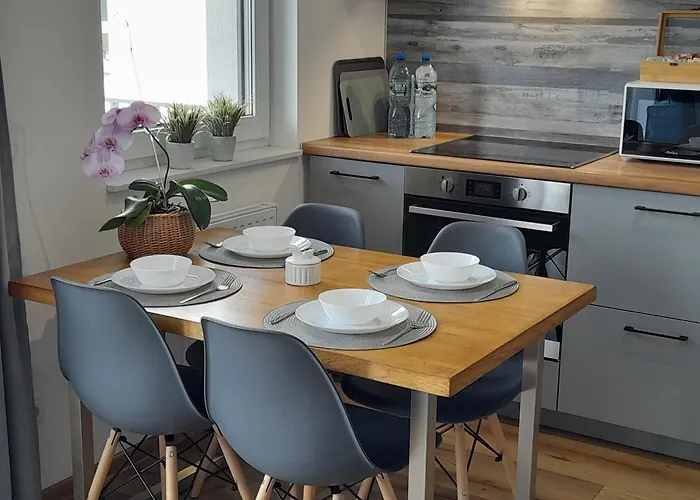 公寓 Idea Wacyn 2 Z Miejscem Parkingowym 拉多姆